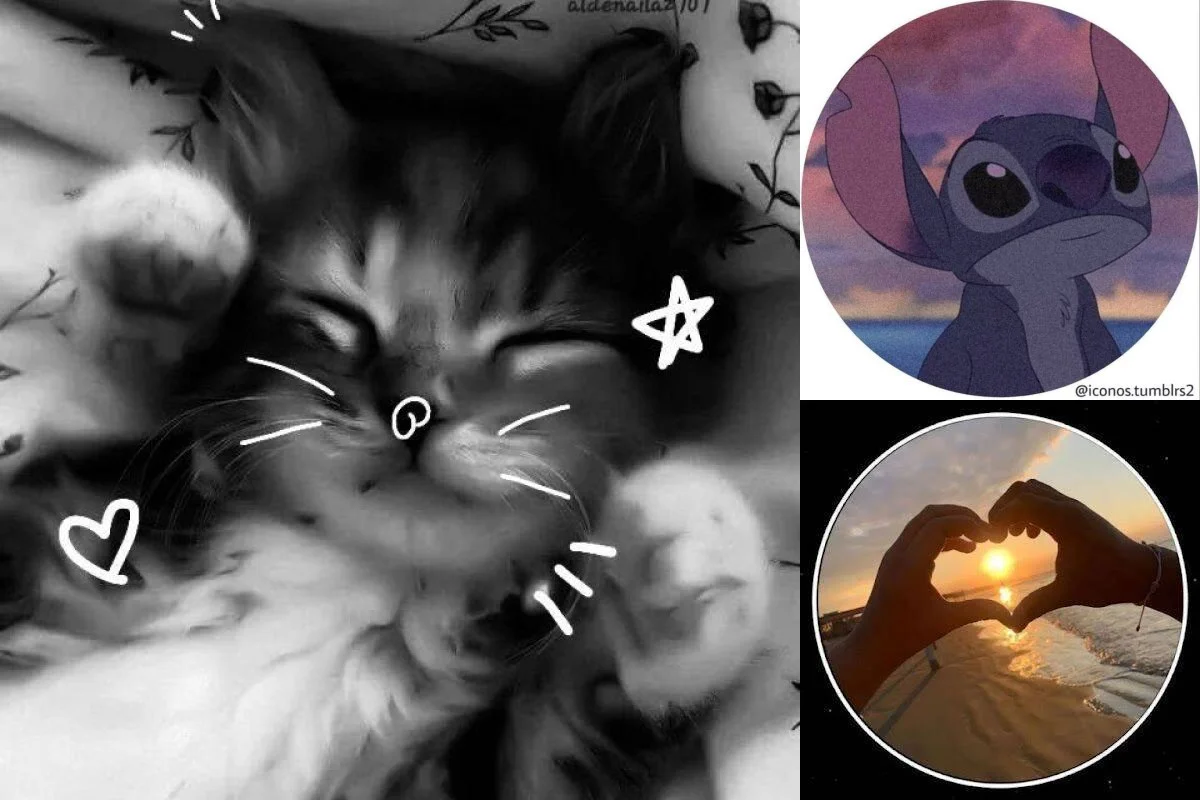 Cute PFP (Profile Pictures)