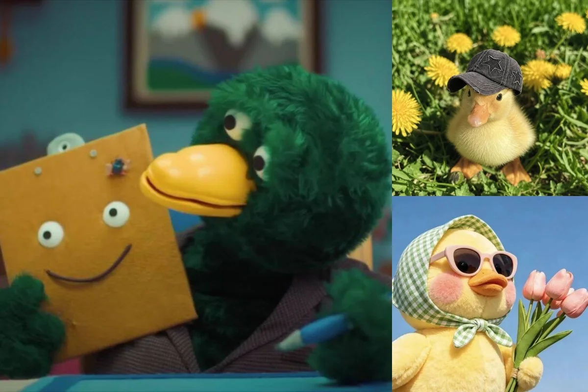 Duck PFP (Profile Pictures)