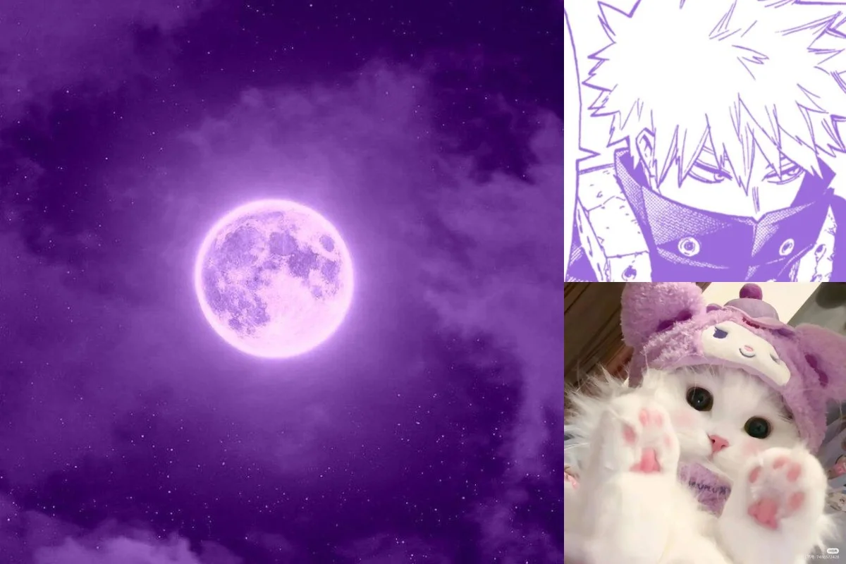 Purple PFP (Profile Pictures)