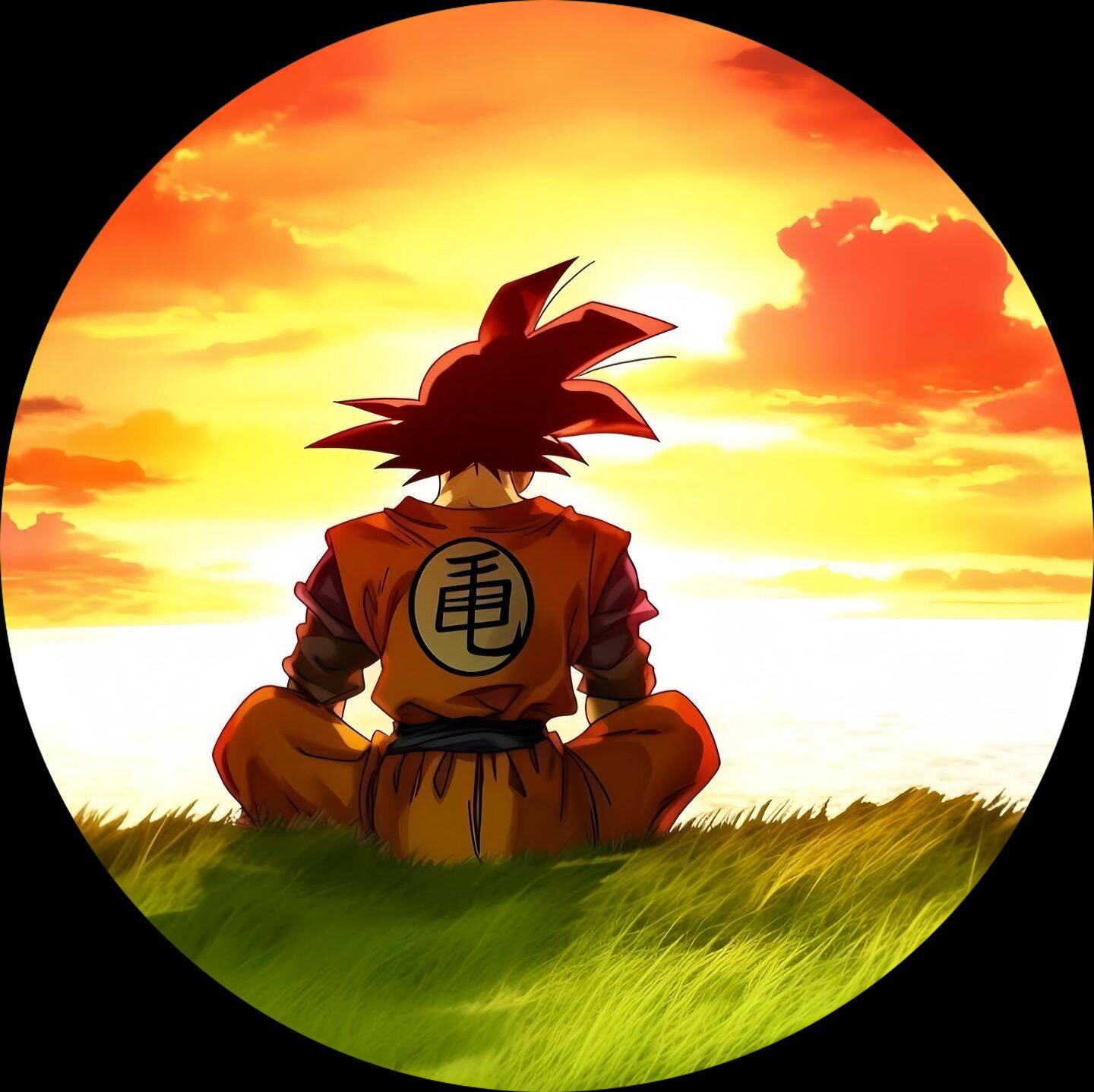 Aesthetic Goku pfp Profile Picture at Sunset