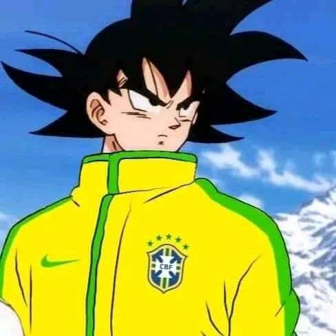 Goku pfp Profile Picture in Brazil Jersey