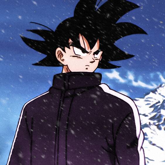 Cool Goku pfp Profile Picture in Snowy Landscape