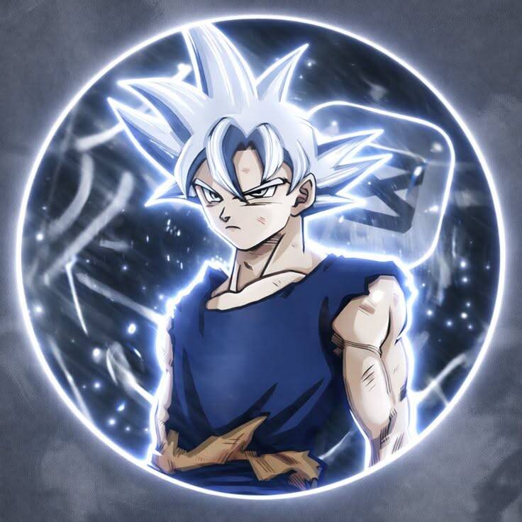 Ultra Instinct Goku pfp Profile Picture