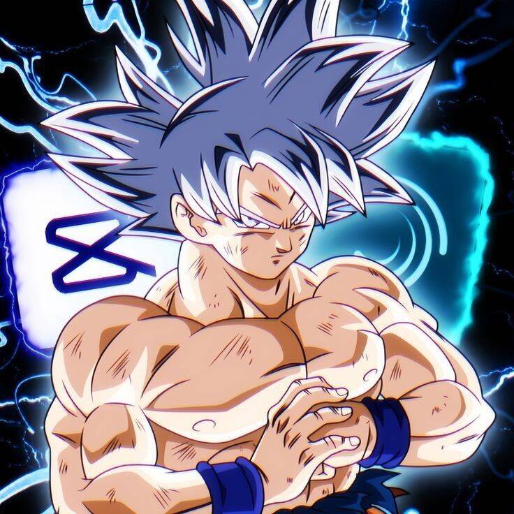 Ultra Instinct Goku pfp Profile Picture