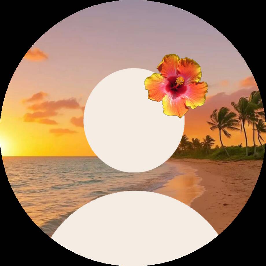 Default pfp Profile Picture Tropical Sunset Aesthetic