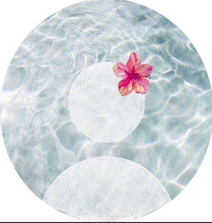 Default pfp Profile Picture Tropical Water Aesthetic