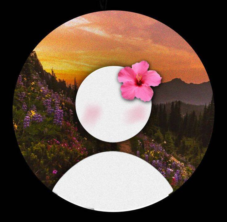 Default pfp Profile Picture Aesthetic Floral Sunset