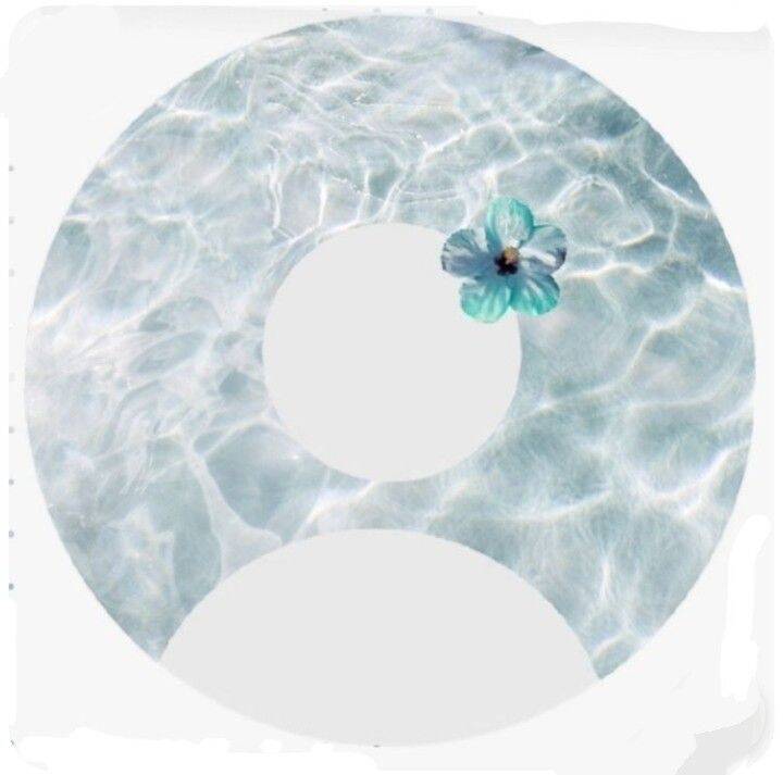 Default pfp Profile Picture Aesthetic Water Floral Design