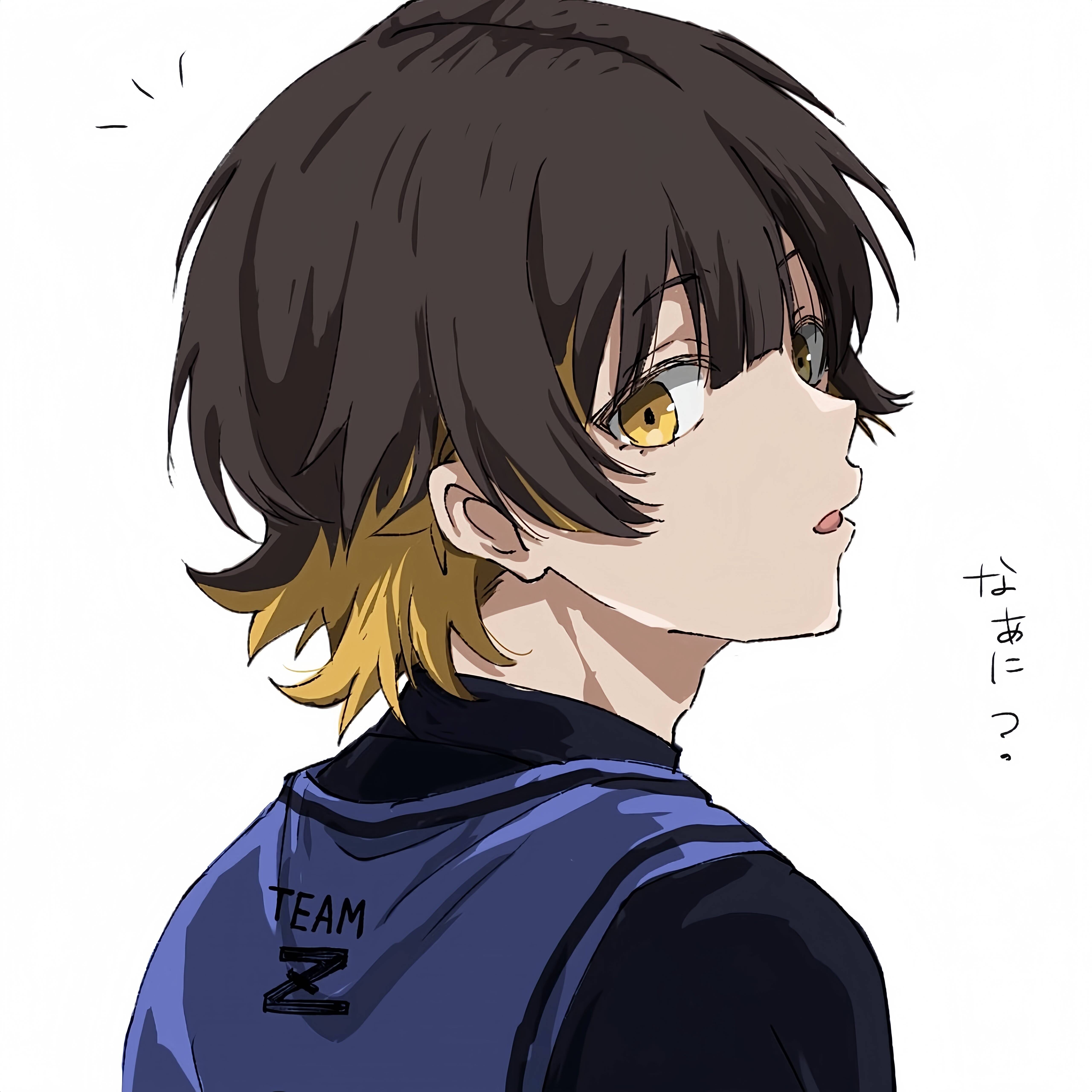 Bachira PFP Profile Picture Team Z Look