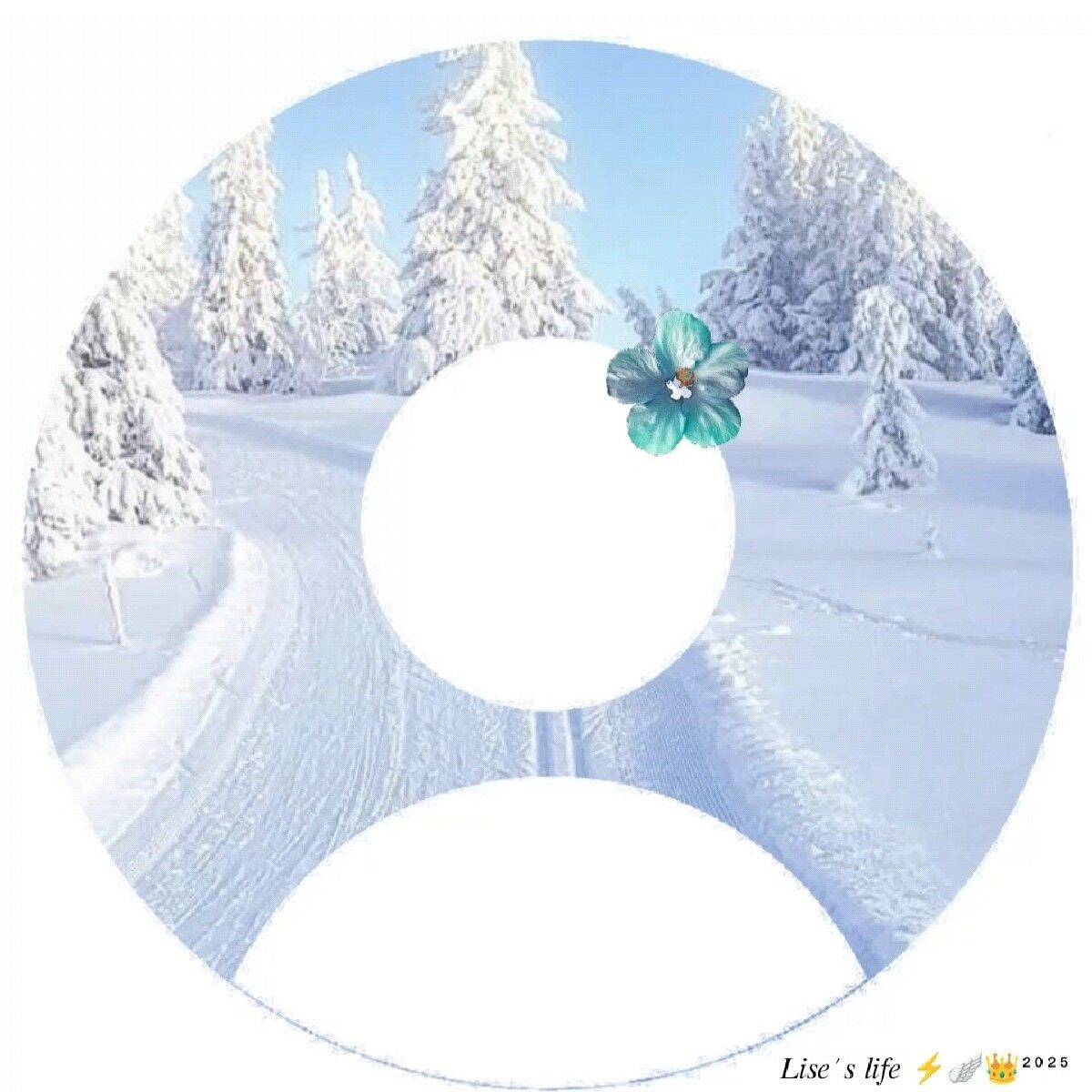 Default pfp Profile Picture Winter Wonderland Aesthetic