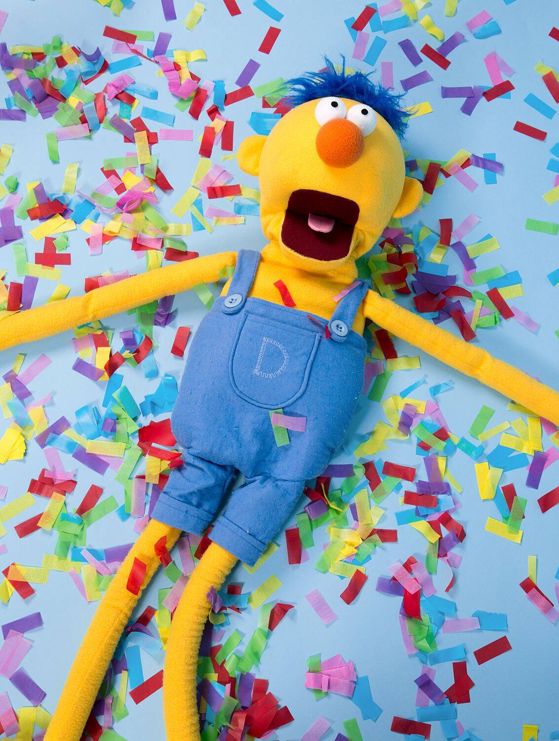 Duck pfp Profile Picture Fun Colorful Duck Puppet