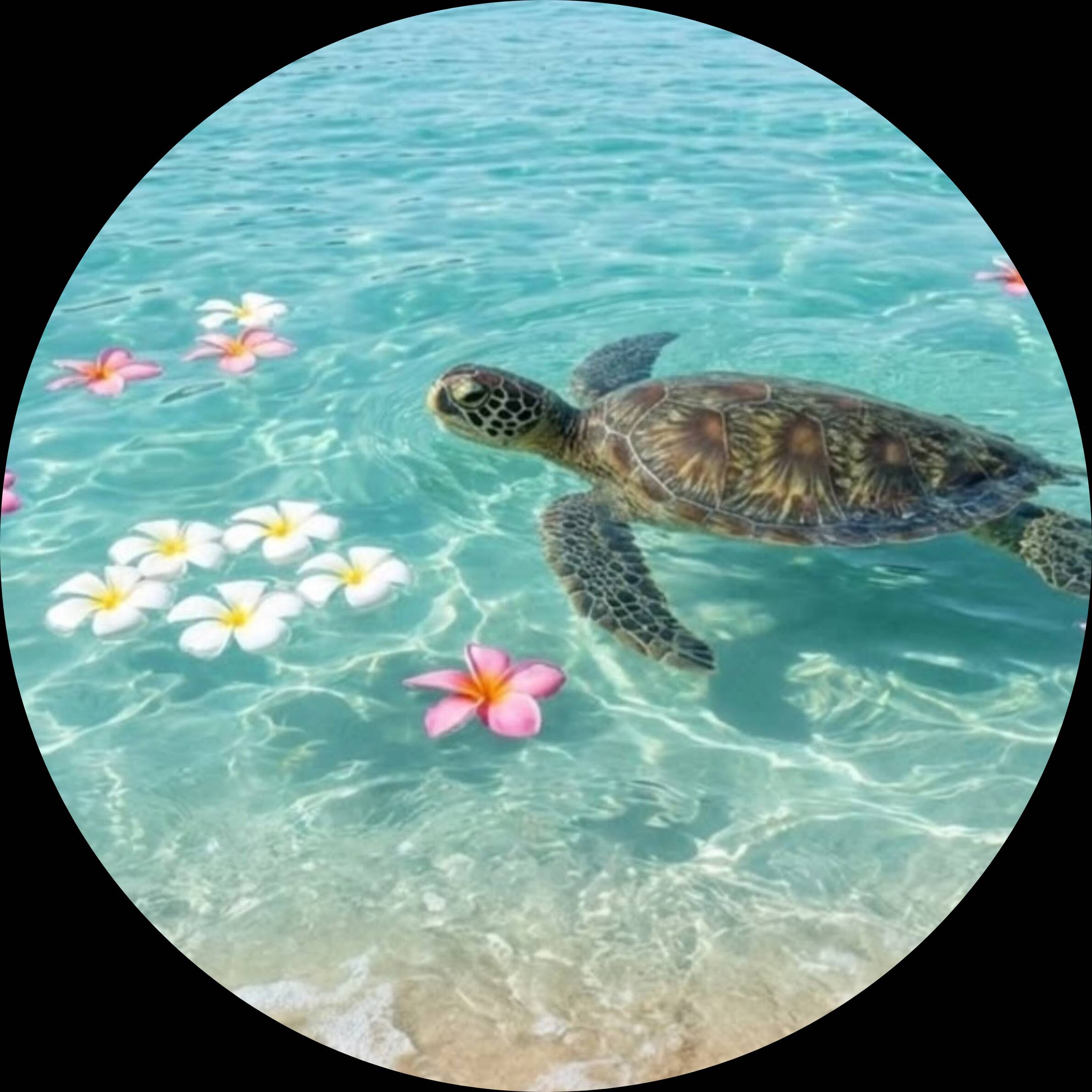 Cool pfp Profile Picture of a Turtle Swimming in Clear Water