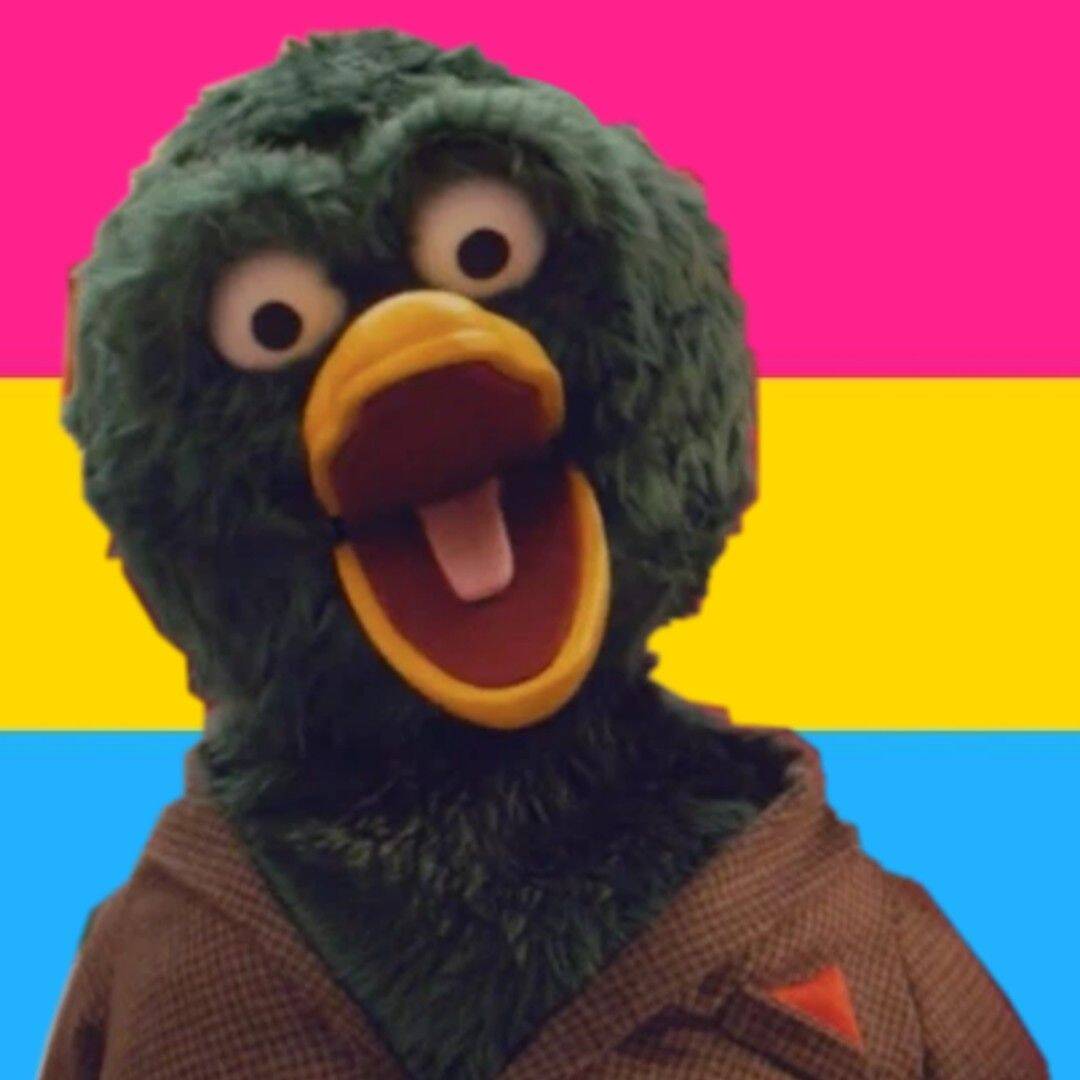 Funny Duck pfp Profile Picture with Open Mouth