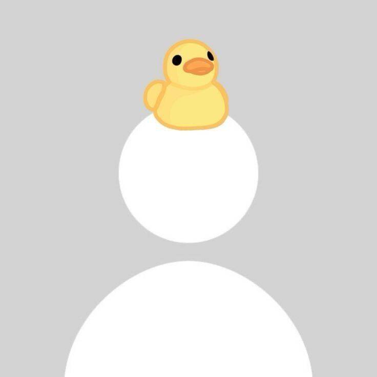 Cute Yellow Duck pfp Profile Picture