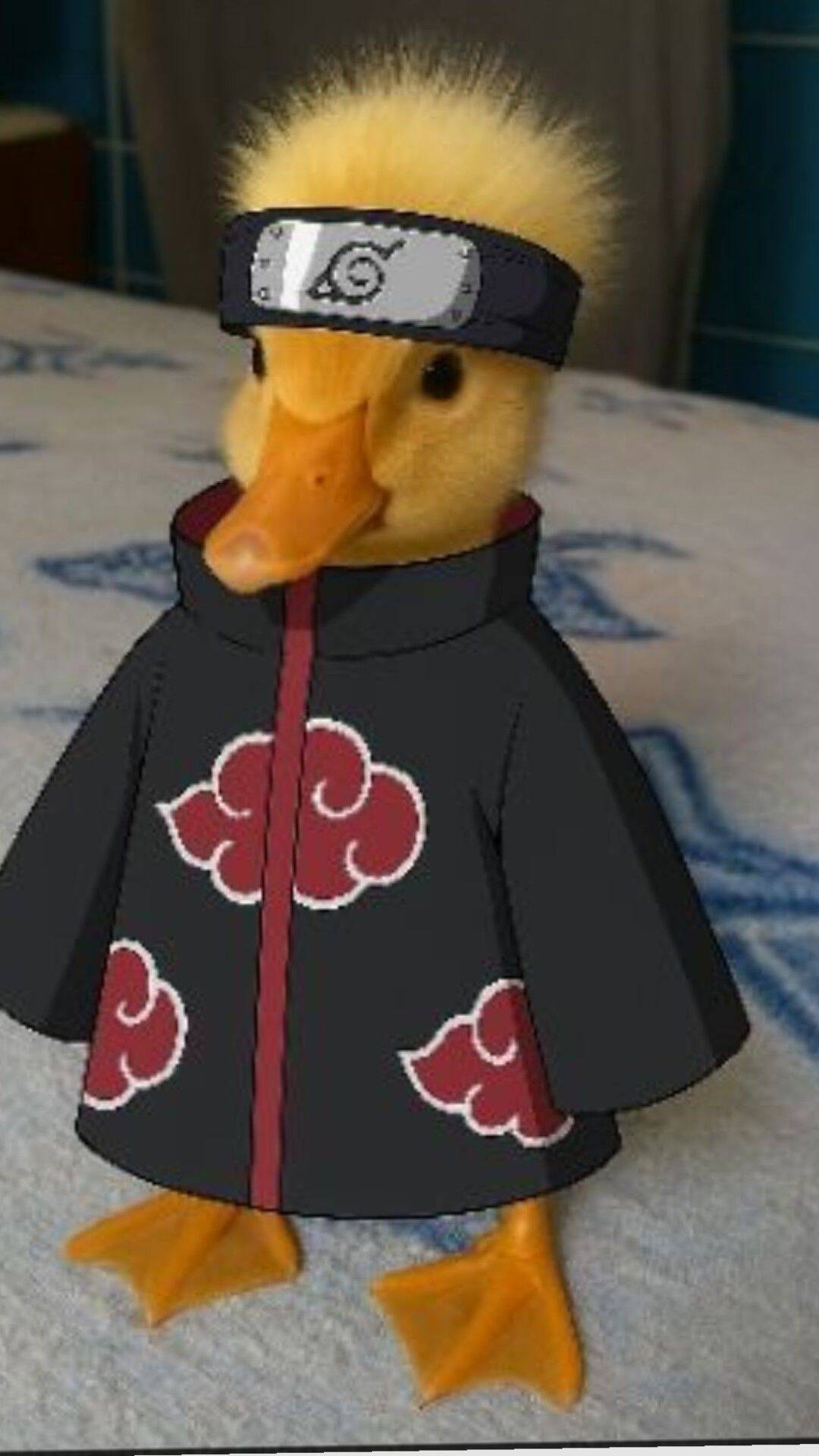 Naruto Duck pfp Profile Picture with Headband and Cloak