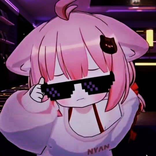 Cool pfp Profile Picture Anime Cat Girl with Sunglasses