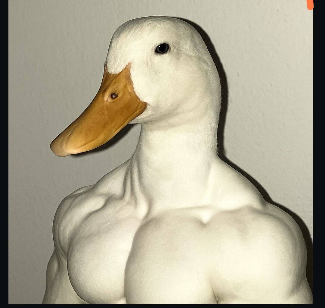 Muscular Duck pfp Profile Picture Funny Duck with Muscles
