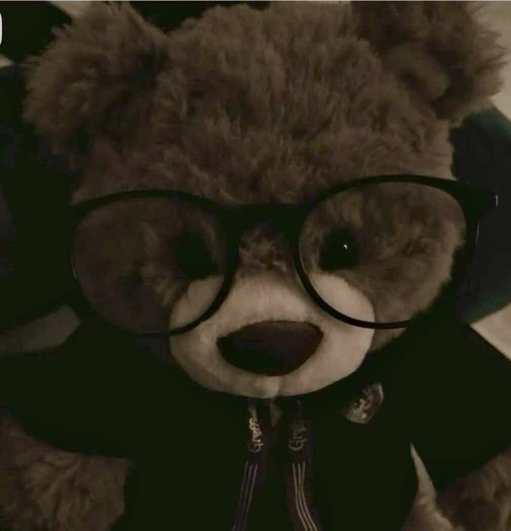 Cool pfp Profile Picture of a Stylish Bear with Glasses