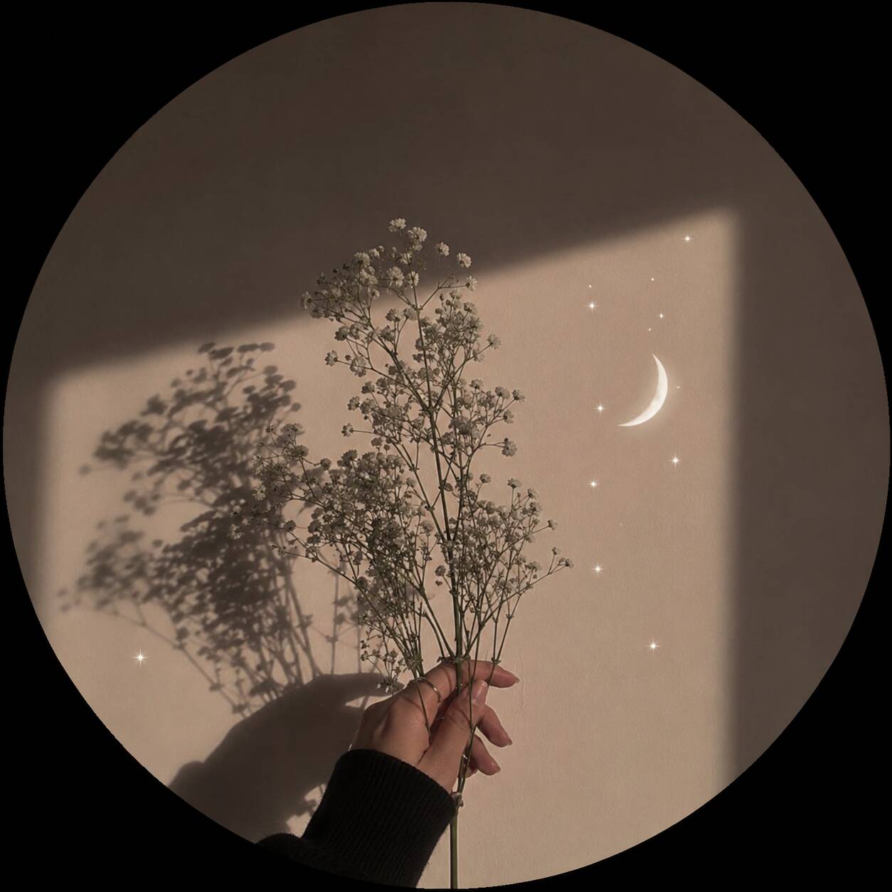 Cool pfp Profile Picture Floral Aesthetic with Moon