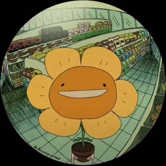 Cool pfp Profile Picture Cartoon Flower with Smile