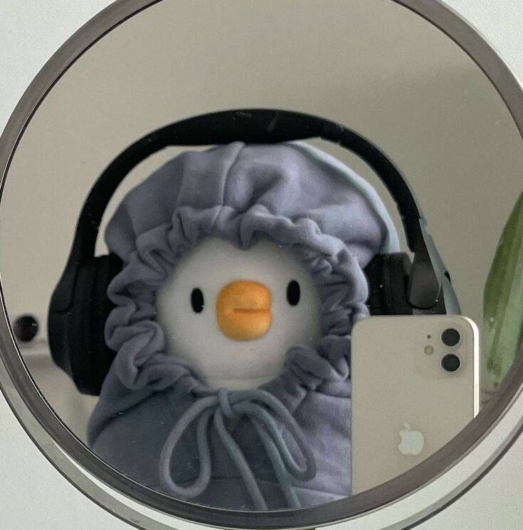 Cute Duck pfp Profile Picture with Headphones