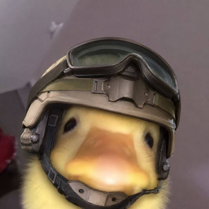 Cool Duck pfp Profile Picture in Military Helmet