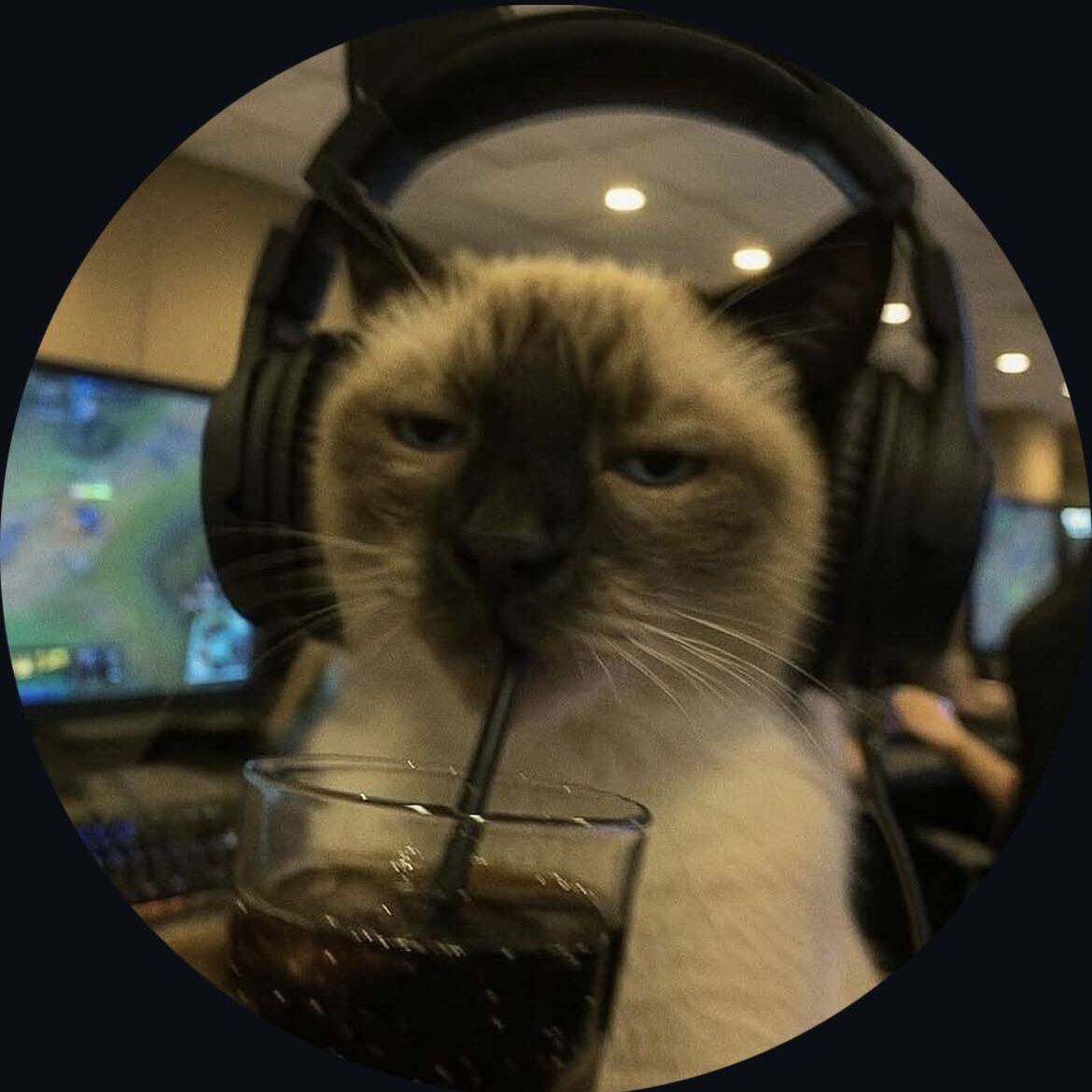 Cool pfp Profile Picture of Cat with Headphones and Drink
