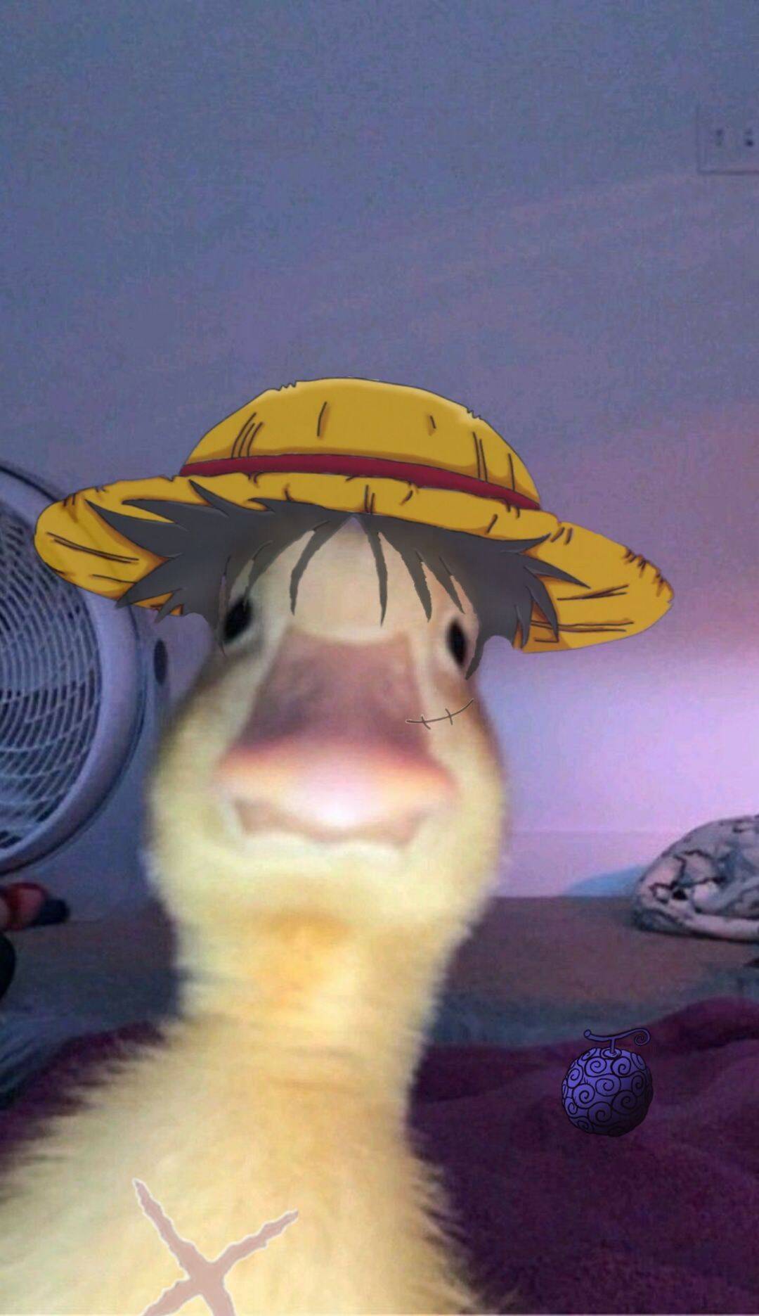 Duck pfp Profile Picture with Straw Hat Cute Duck