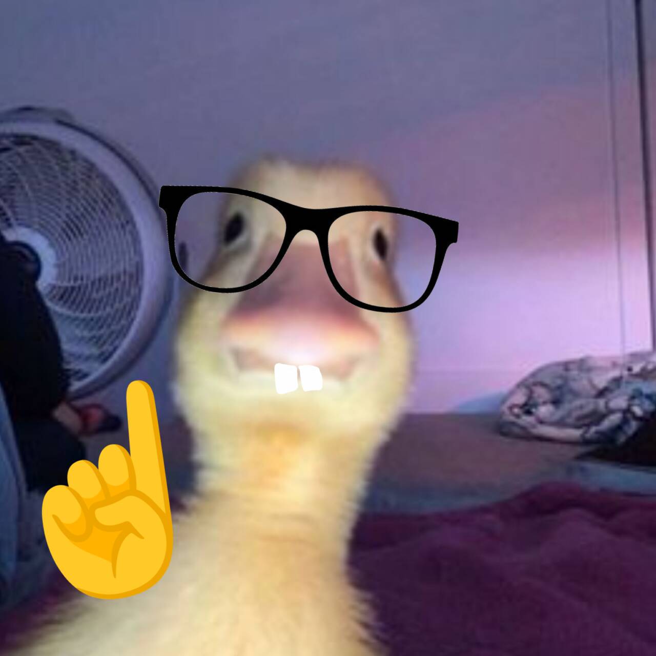 Funny Duck pfp Profile Picture with Glasses and Big Smile