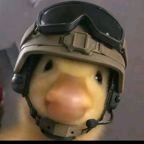 Cool Duck pfp Profile Picture in Military Helmet