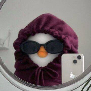 Cool Duck pfp Profile Picture with Sunglasses