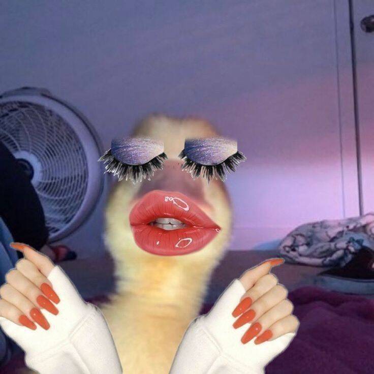 Funny Duck pfp Profile Picture with Lipstick and Eyelashes