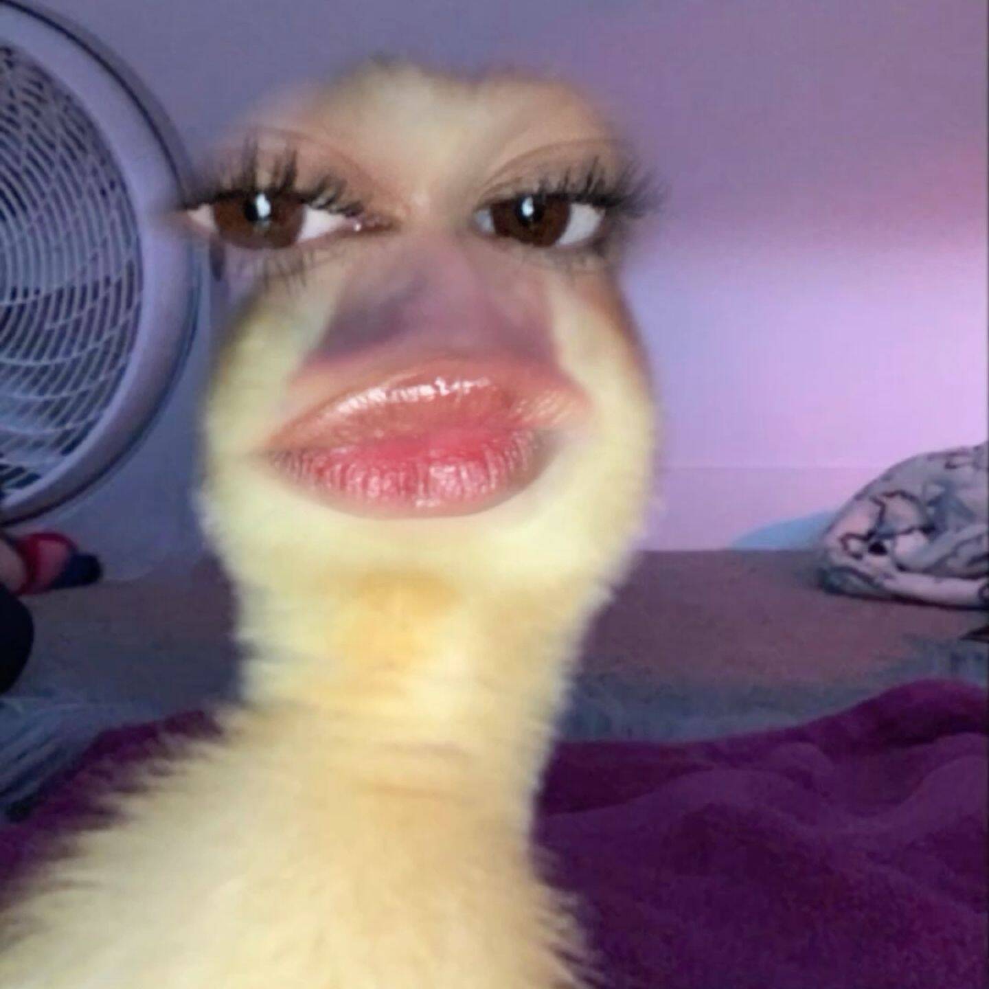 Funny Duck Face pfp Profile Picture: Quirky Duck with Human Features