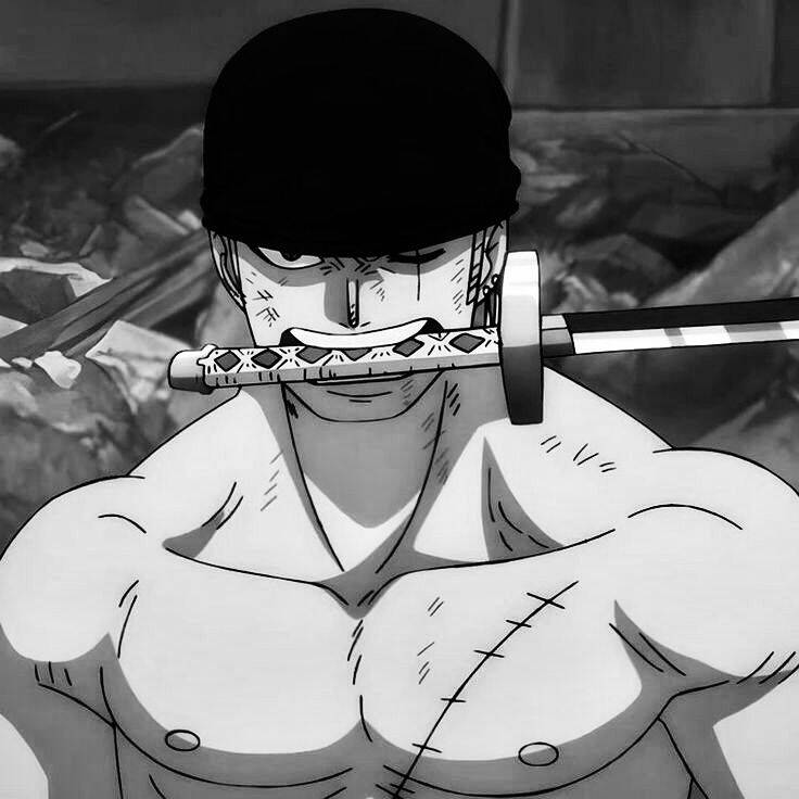 One Piece pfp Profile Picture Zoro with Sword and Bandana