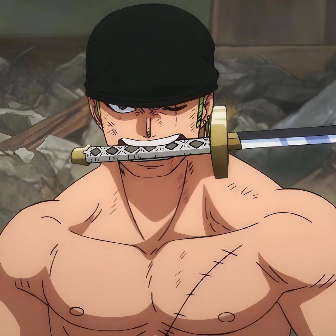 One Piece pfp Profile Picture Zoro with Sword Ready for Battle