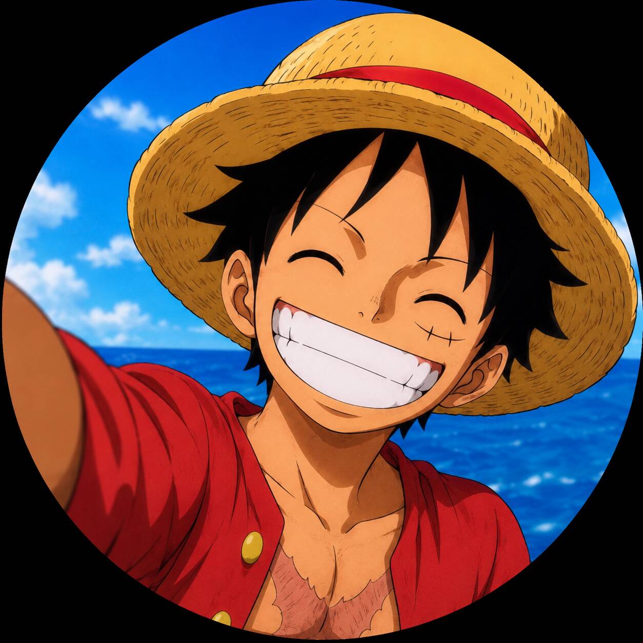 Luffy pfp Profile Picture Straw Hat Smiling