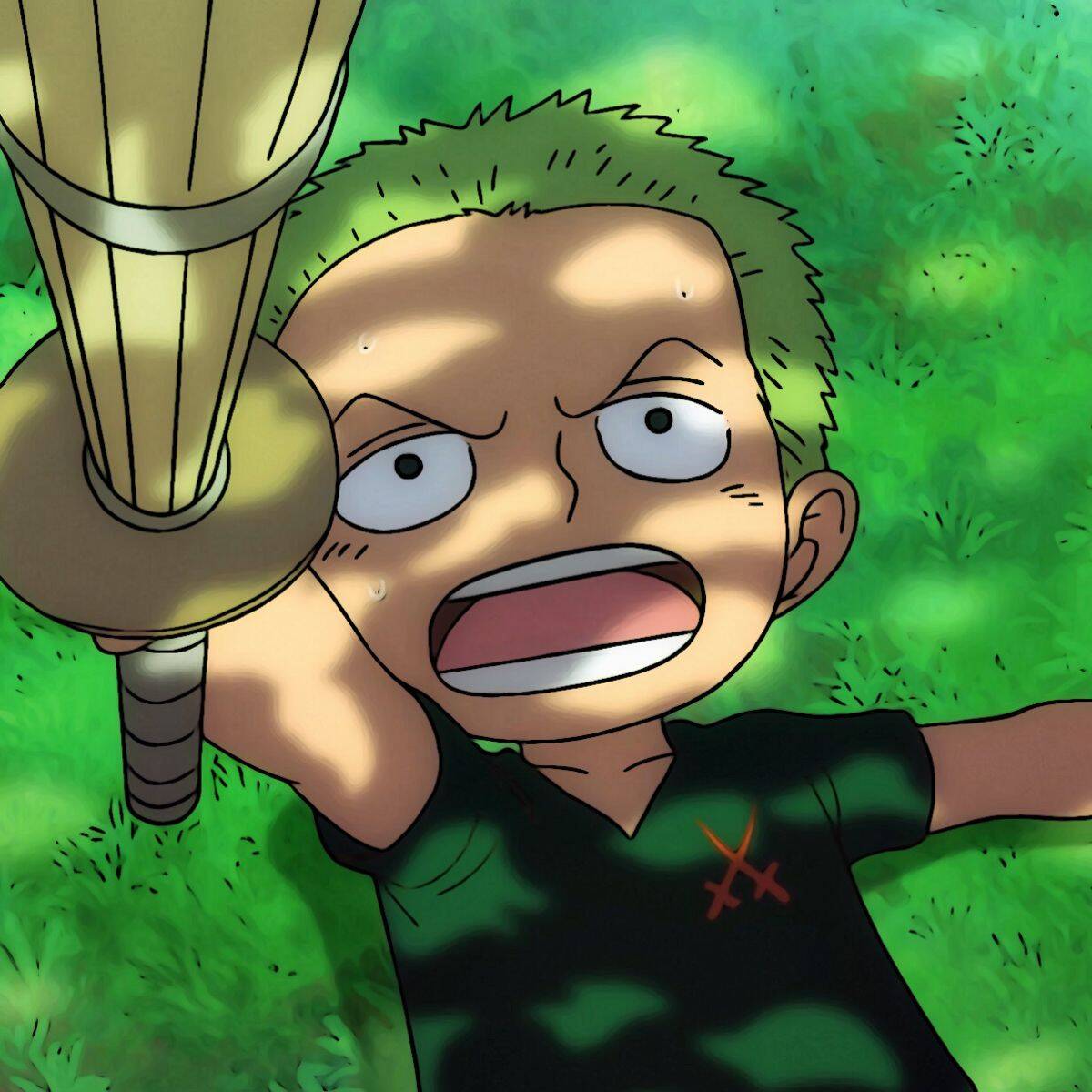 One Piece pfp Profile Picture Young Zoro Training