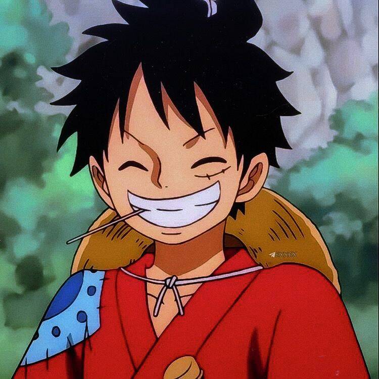 One Piece pfp Profile Picture Luffy Smiling with Straw Hat