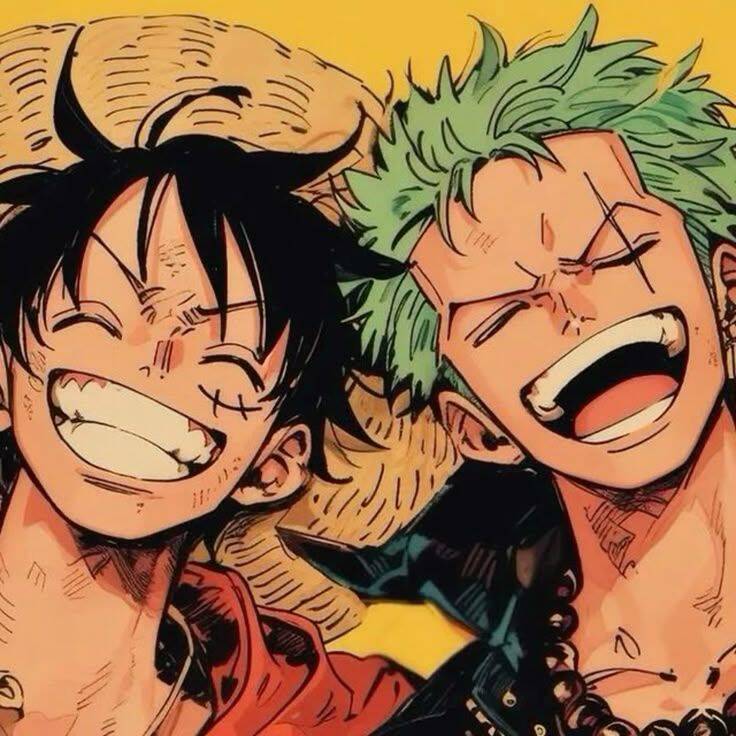 One Piece pfp Profile Picture Luffy and Zoro Smiling Duo