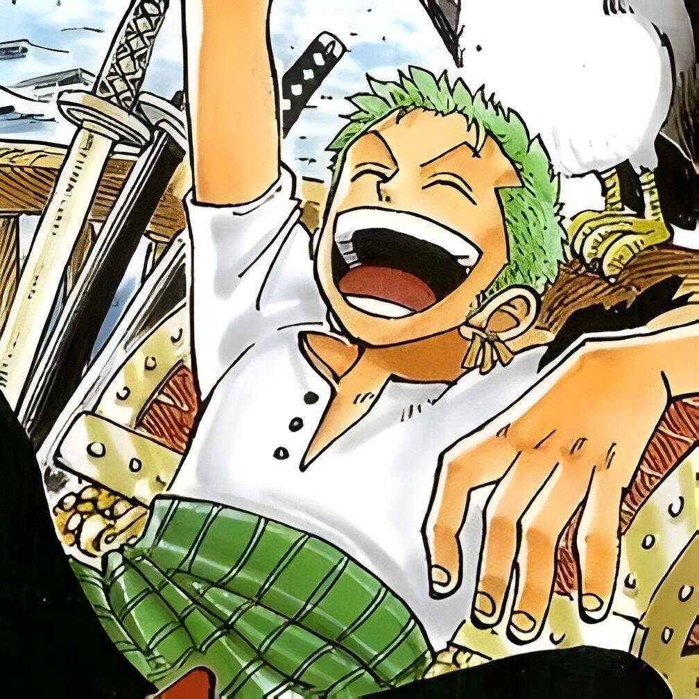 One Piece pfp Profile Picture Zoro Laughing on Ship