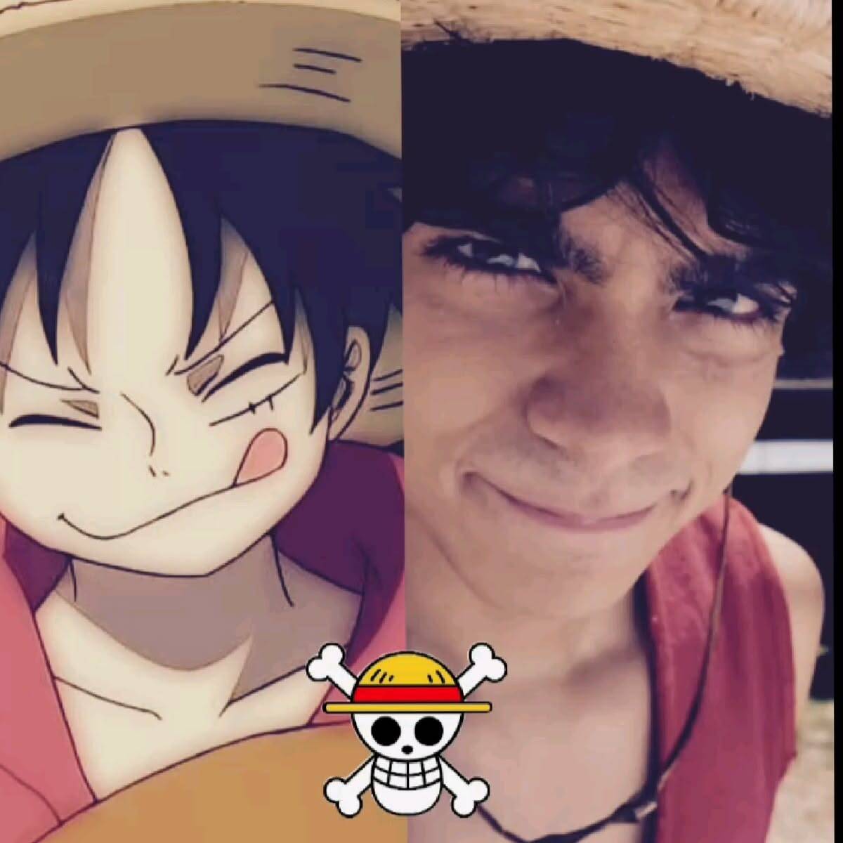 Luffy pfp Profile Picture Straw Hat Smiling