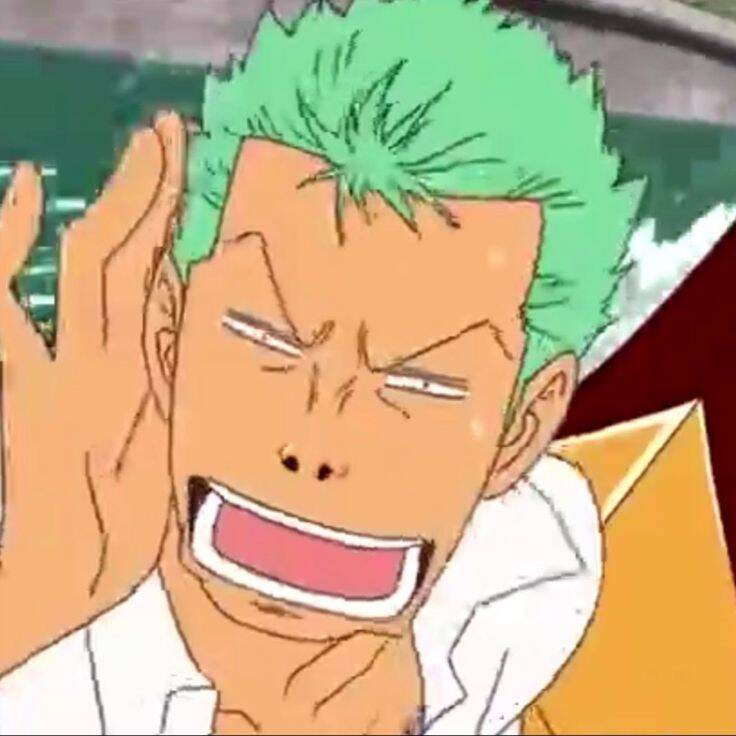 One Piece pfp Profile Picture Zoro Laughing Expression