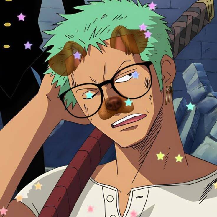 One Piece pfp Profile Picture Zoro with Glasses and Dog Filter