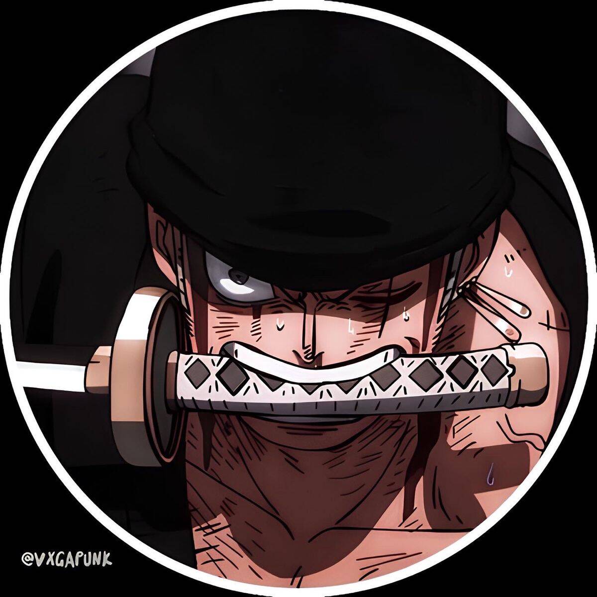 One Piece pfp Profile Picture Zoro Intense Stare with Sword