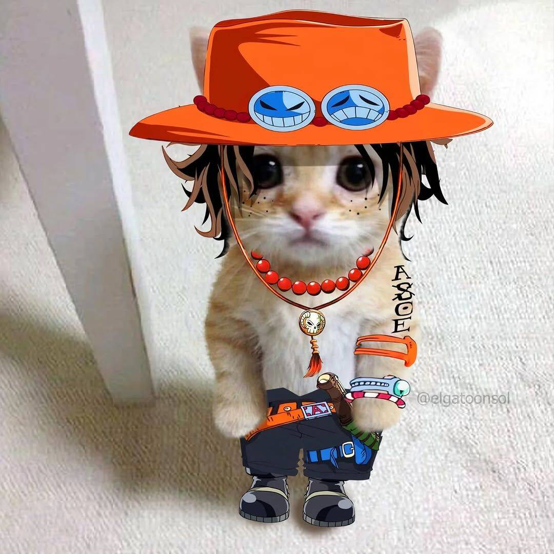 One Piece pfp Profile Picture Cute Cat as Chopper