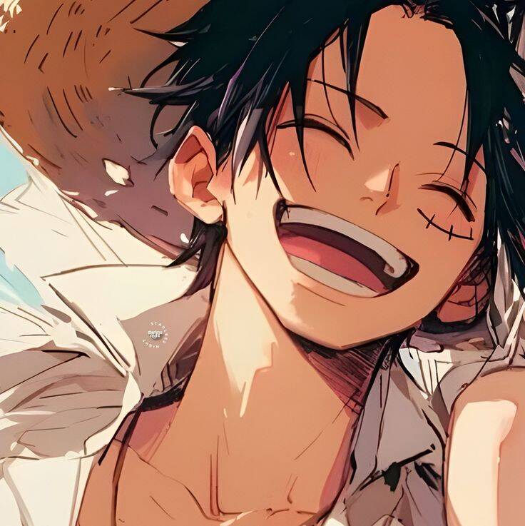 One Piece pfp Profile Picture Smiling Ace with Straw Hat