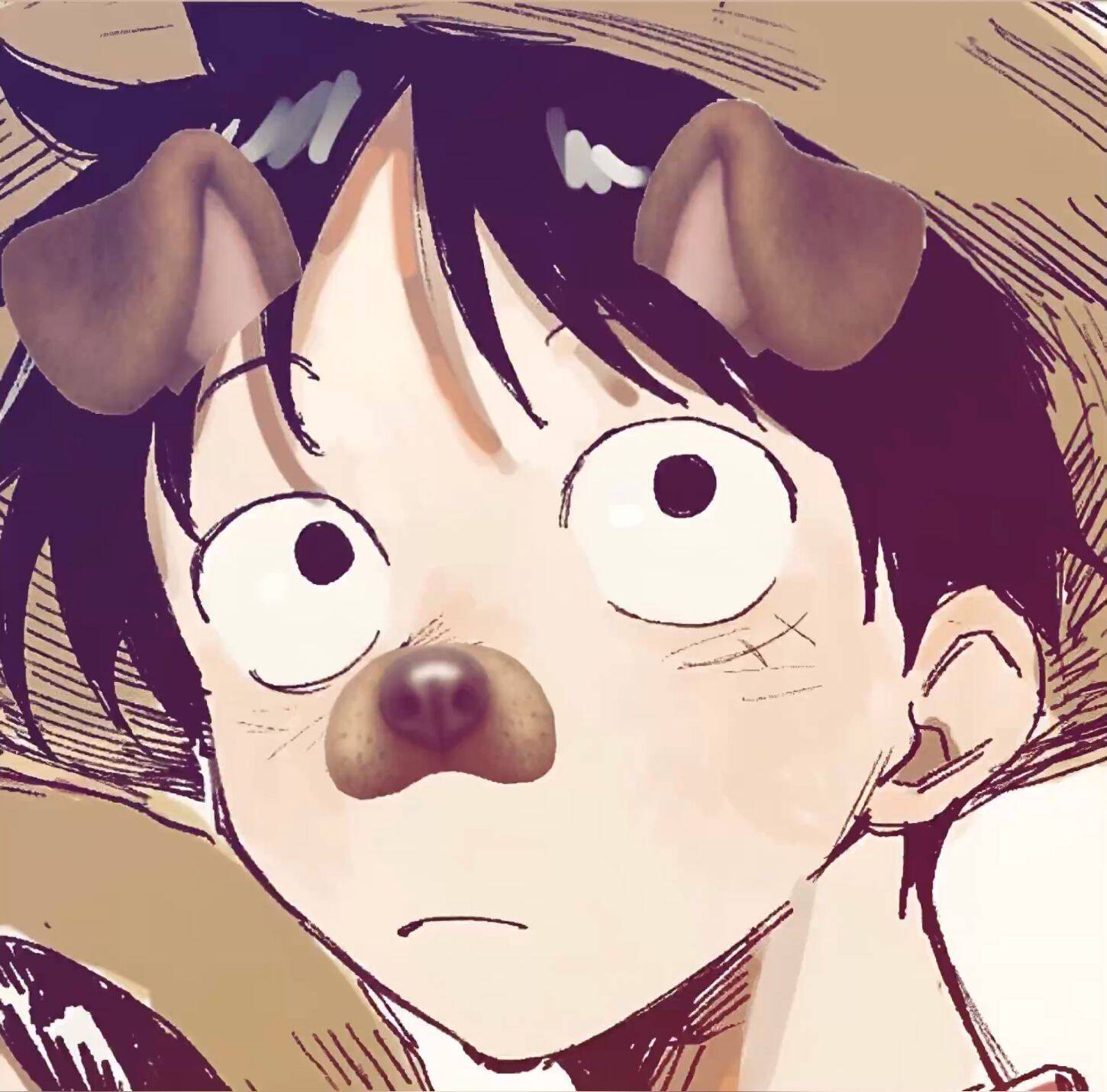 Cute Dog Filter Luffy pfp Profile Picture