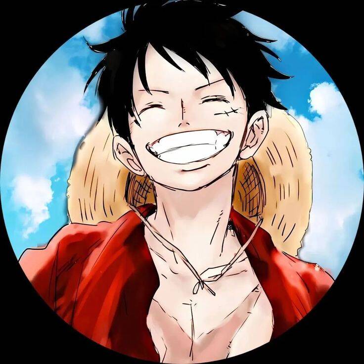 One Piece pfp Profile Picture Luffy Smiling with Straw Hat