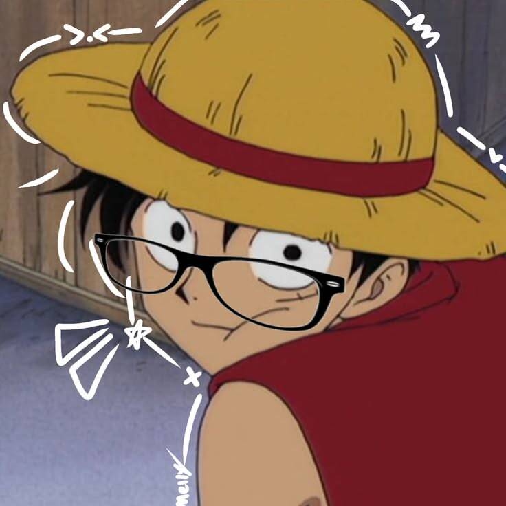 One Piece pfp Profile Picture Luffy with Glasses and Straw Hat