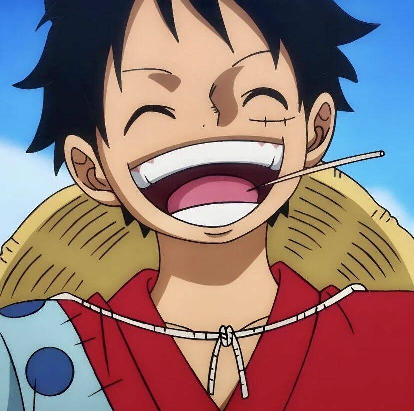 Luffy pfp Profile Picture Happy Smiling Straw Hat Pirate